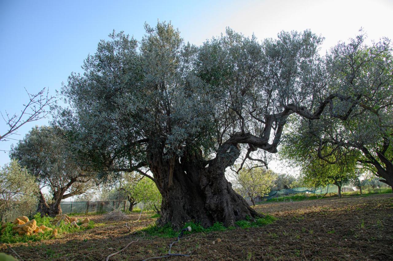 Villa Caterina Agrigento Eksteriør billede